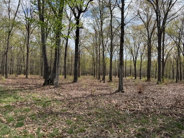 0 Summertown Hwy, Hohenwald, TN 38462