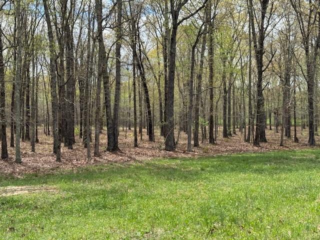 0 Summertown Hwy, Hohenwald, TN 38462