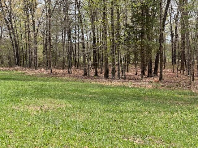 0 Summertown Hwy, Hohenwald, TN 38462