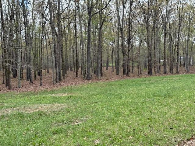 0 Summertown Hwy, Hohenwald, TN 38462