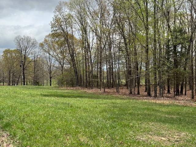 0 Summertown Hwy, Hohenwald, TN 38462