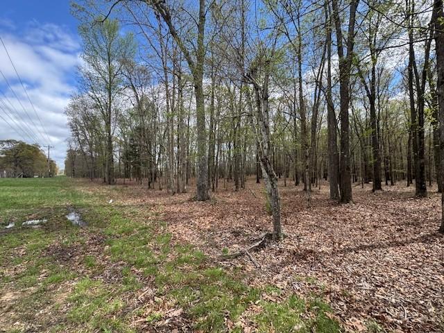 0 Summertown Hwy, Hohenwald, TN 38462