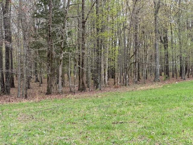0 Summertown Hwy, Hohenwald, TN 38462