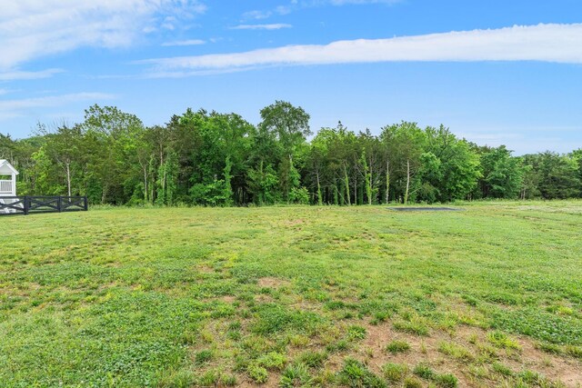 1017 Annecy Pkwy, Nolensville, TN 37135 - photo 43