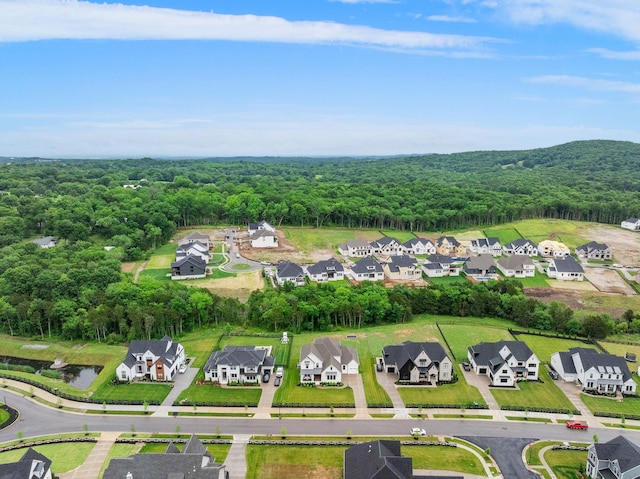 1017 Annecy Pkwy, Nolensville, TN 37135 - photo 49