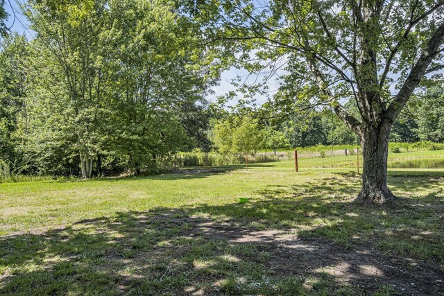 3289 Buffalo Rd, Ethridge, TN 38456 - photo 10