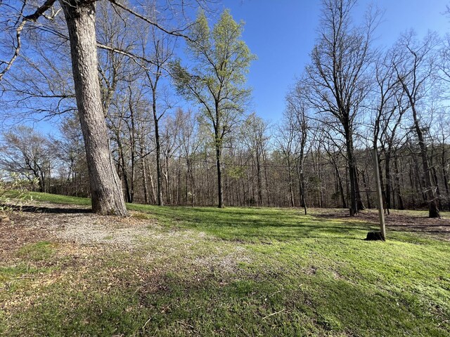 view of grassy yard featuring a forest view