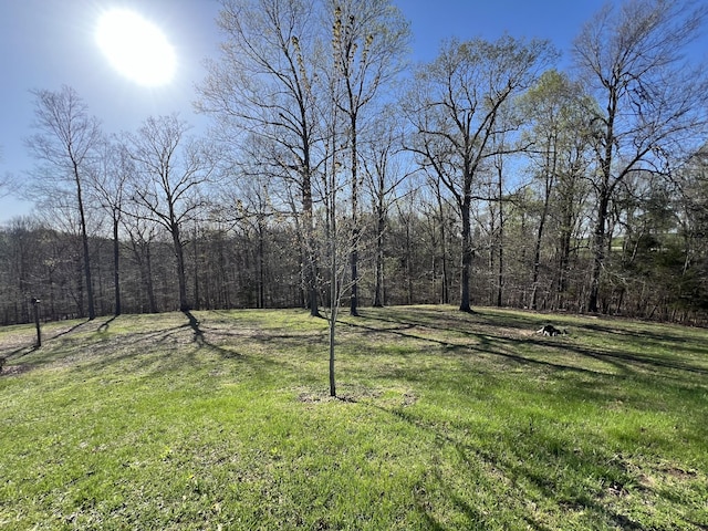 view of green lawn featuring a view of trees