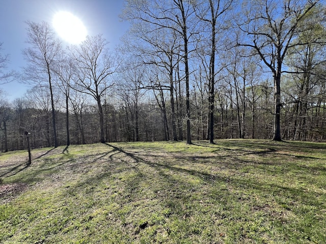 view of grassy yard featuring a forest view