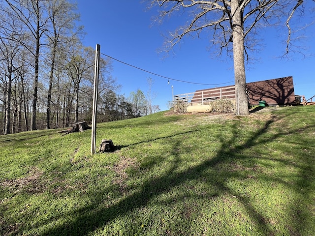 view of green lawn