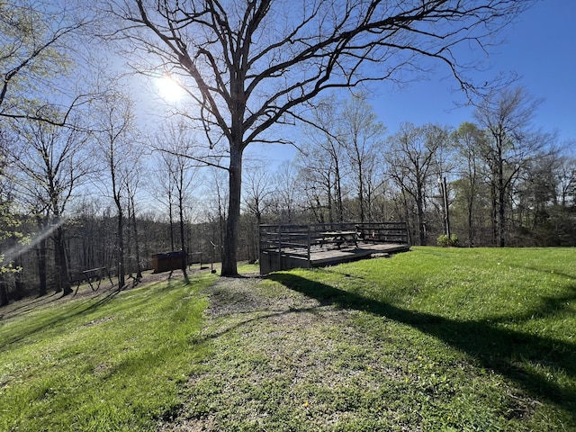 view of grassy yard