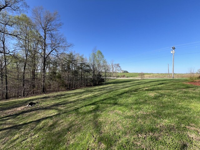 view of grassy yard