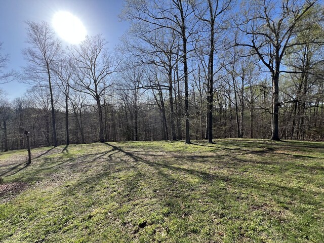 1259 Rocky Hill Estates Rd, Clarkson, KY 42726 - photo 30