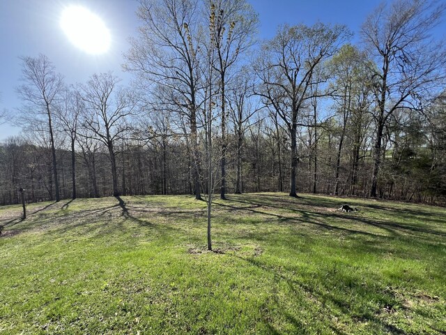 1259 Rocky Hill Estates Rd, Clarkson, KY 42726 - photo 33