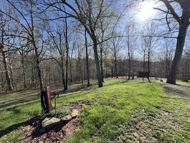 1259 Rocky Hill Estates Rd, Clarkson, KY 42726 - photo 36