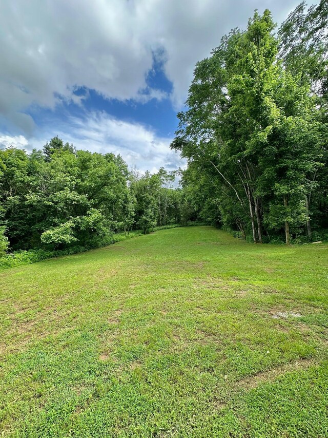 4427 Moore Ln, Culleoka, TN 38451 - photo 5