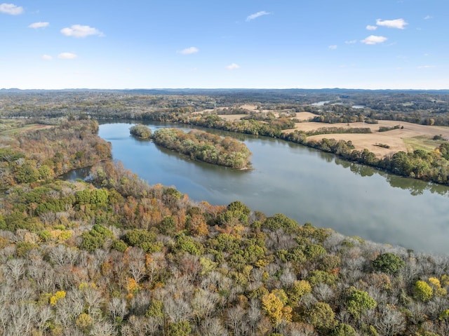 birds eye view of property featuring a water view and a forest view