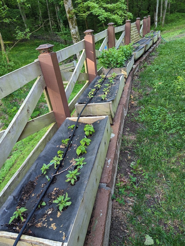view of home's community with a garden