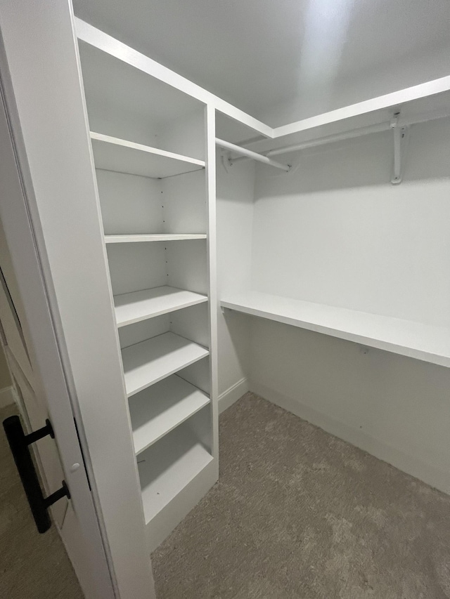 1168 N Franklin Ave, Cookeville, TN 38501 - walk in closet with carpet floors