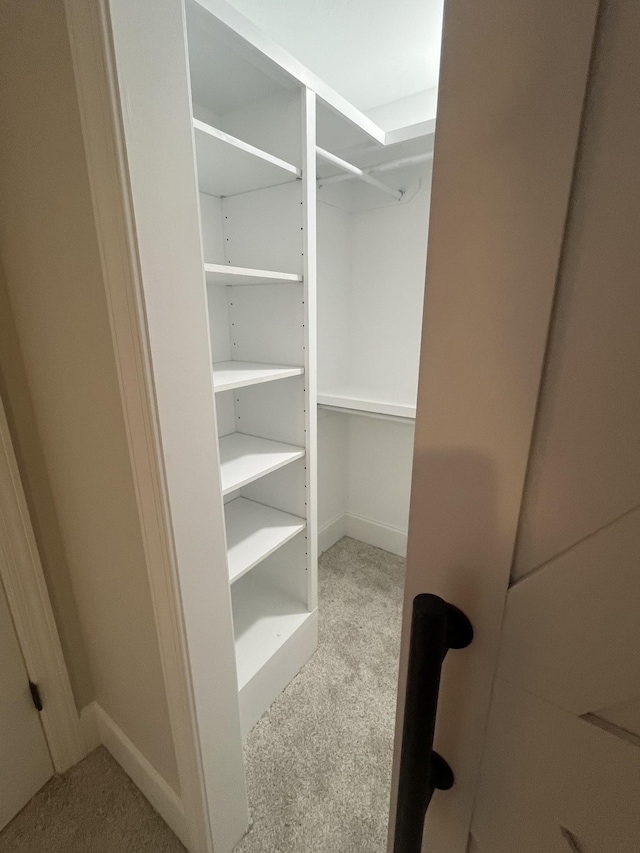 1168 N Franklin Ave, Cookeville, TN 38501 - spacious closet with carpet floors