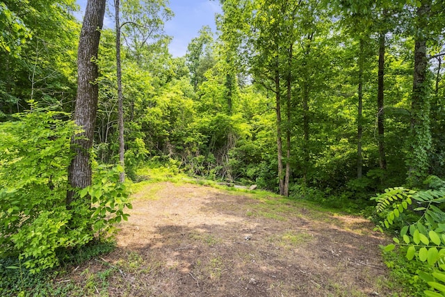 349 Chipman Rd, Bethpage, TN 37022 - photo 7