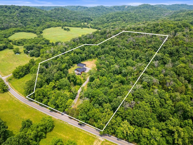 349 Chipman Rd, Bethpage, TN 37022 - photo 63