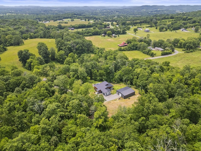 349 Chipman Rd, Bethpage, TN 37022 - photo 5