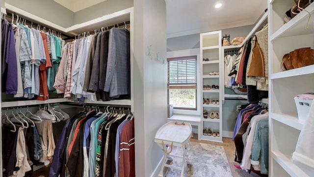view of spacious closet