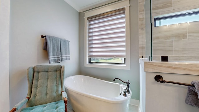 bathroom featuring a freestanding tub