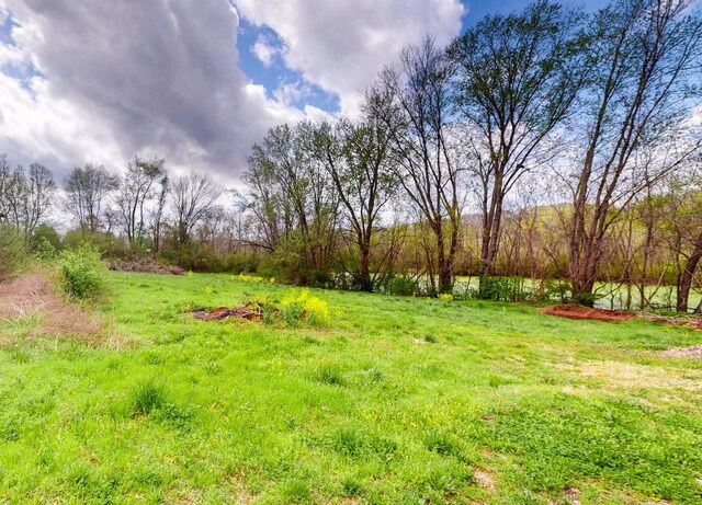 9019 S Harpeth Ct, Nashville, TN 37221 - photo 5