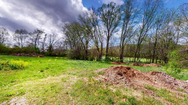 9019 S Harpeth Ct, Nashville, TN 37221 - photo 10