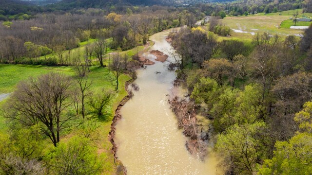 9019 S Harpeth Ct, Nashville, TN 37221 - photo 13