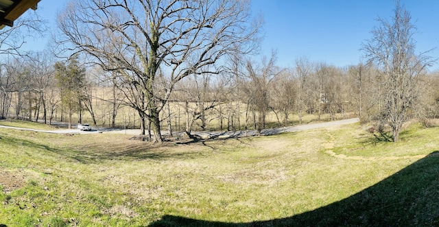 416 Joe Hart Rd, Shelbyville, TN 37160 - photo 8