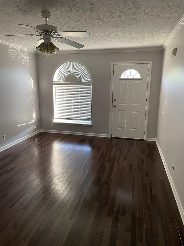3001 Hamilton Church Rd Unit 216, Antioch, TN 37013 - entrance foyer with a textured ceiling, ornamental molding, dark wood-style floors, and a wealth of natural light
