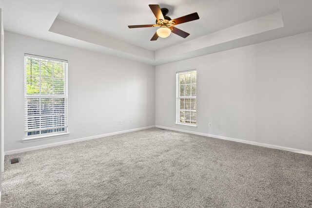 142 Big Ben Ct, Franklin, TN 37067 - carpeted spare room with a tray ceiling, baseboards, and plenty of natural light