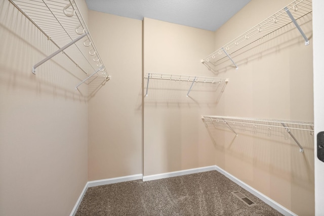 1313 Allmon Dr, Clarksville, TN 37042 - walk in closet featuring carpet flooring