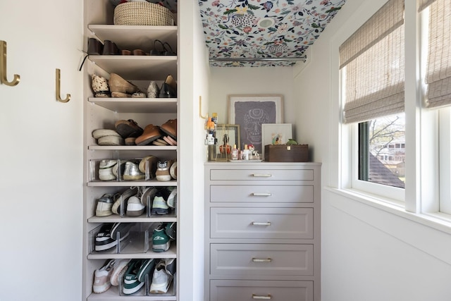 4610 Elkins Ave, Nashville, TN 37209 - view of closet