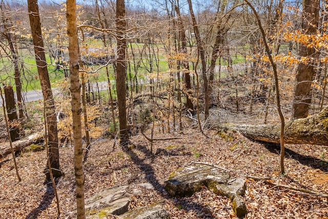 view of landscape with a view of trees