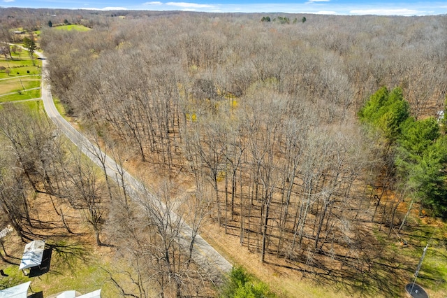 aerial view with a forest view