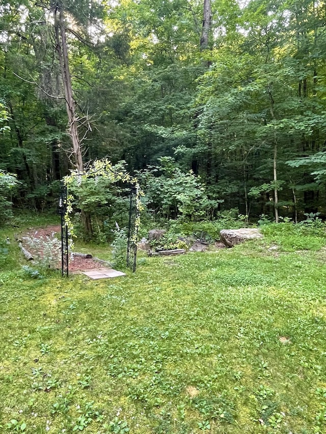 4862 Louise Rd, Cumberland Furnace, TN 37051 - view of green lawn with a wooded view
