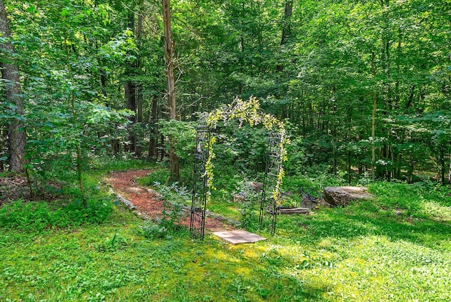 4862 Louise Rd, Cumberland Furnace, TN 37051 - view of yard featuring a view of trees