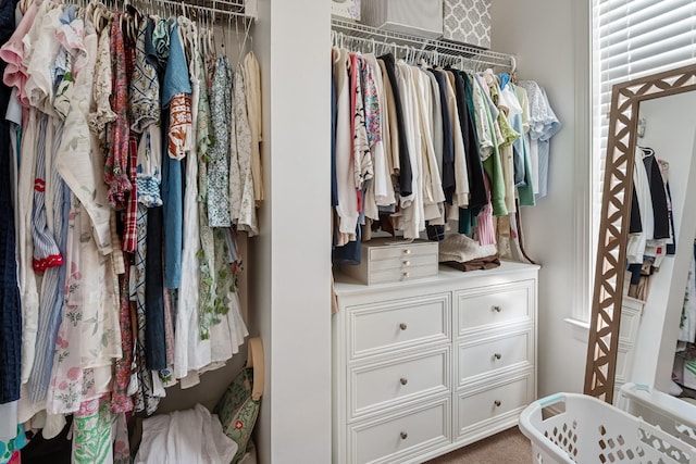 view of spacious closet