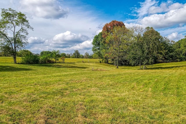 view of local wilderness with a rural view