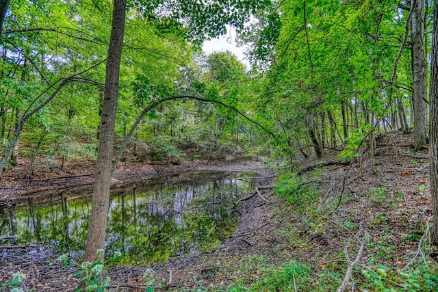 view of water feature featuring a wooded view