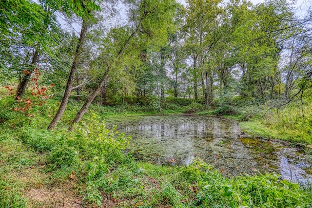 view of water feature with a forest view