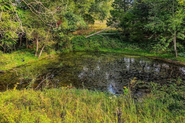view of water feature with a wooded view
