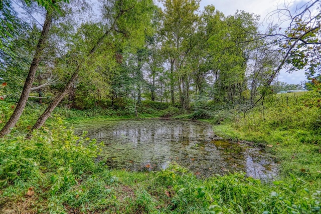 view of nature featuring a water view