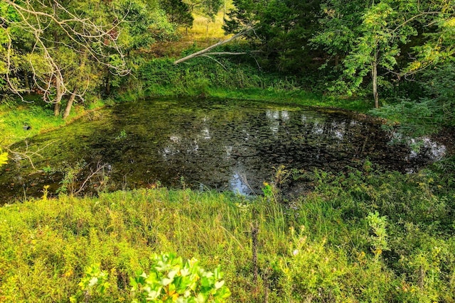 view of nature featuring a water view and a wooded view