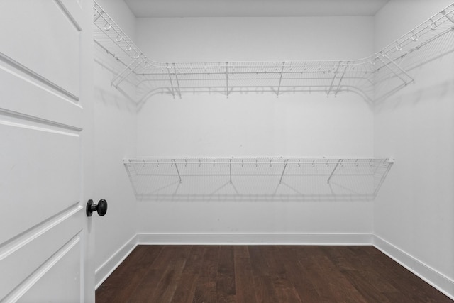 spacious closet with dark wood finished floors