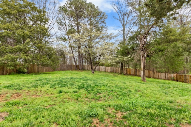 view of yard featuring a fenced backyard